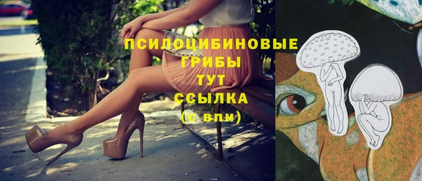 прущая мука Богородицк