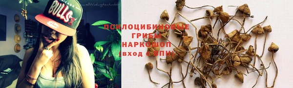 прущие грибы Богородск